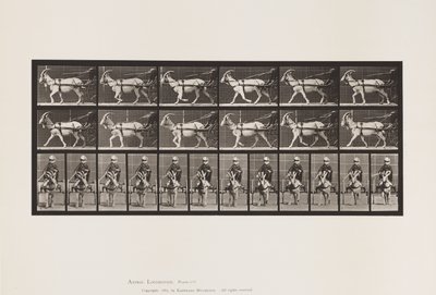 Tavle 678. Ged; Trav, i Sulky af Eadweard Muybridge
