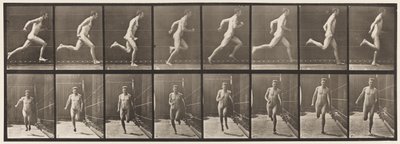 Tavle 67. Løbende, 1872-1885 af Eadweard Muybridge