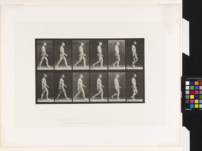Plade 6.Gå af Eadweard Muybridge