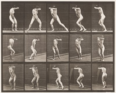 Plade 73. Vender sig om i overraskelse og løb væk, 1872-1885 af Eadweard Muybridge