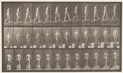 Plade 74. Stigende hældning, vinkel 1 i 4 af Eadweard Muybridge