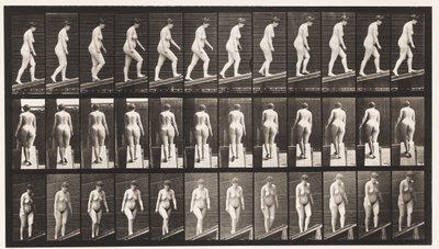 Plade 77. Stigende Hældning af Eadweard Muybridge
