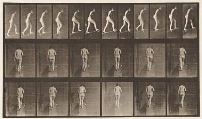 Plade 79. Stigende Hældning af Eadweard Muybridge