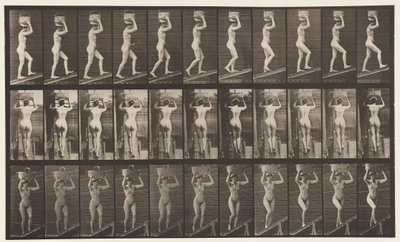 Plade 80. Stigende Hældning af Eadweard Muybridge