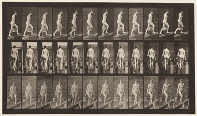 Plade 81. Stigende Hældning. af Eadweard Muybridge