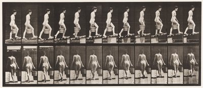 Plade 83. Stigende hældning, spand vand i højre hånd af Eadweard Muybridge