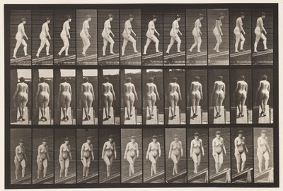 Plade 86. Stigende Hældning af Eadweard Muybridge