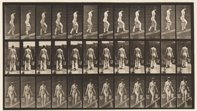Plade 87. Stigende hældning, spand vand i hver hånd af Eadweard Muybridge