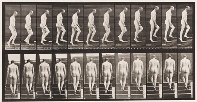 Tavle 89. Opstigende Trapper af Eadweard Muybridge