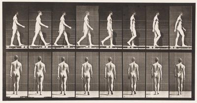 Plade 8. Gå af Eadweard Muybridge