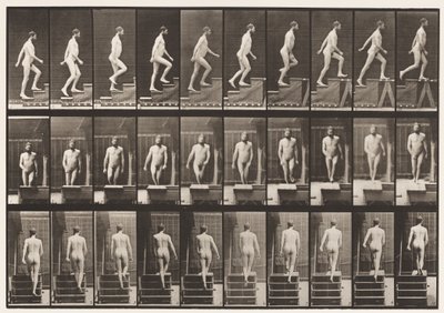 Tavle 90. Opstigende Trapper af Eadweard Muybridge