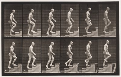 Tavle 91. Opstigende Trapper af Eadweard Muybridge