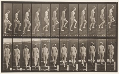 Tavle 92. Opstigende Trapper af Eadweard Muybridge