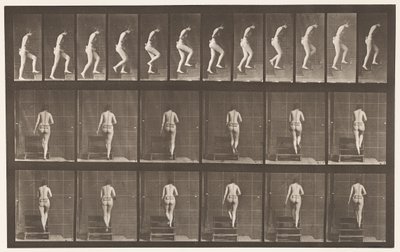 Tavle 93. Opstigende Trapper af Eadweard Muybridge