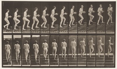 Tavle 94. Opstigende Trapper, der ser sig omkring; Bassin i hænderne af Eadweard Muybridge