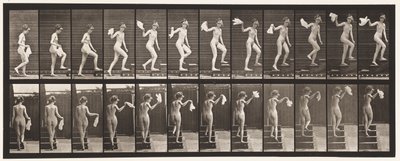 Tavle 96. Opstigende Trapper, der ser sig omkring; Viftende Lommetørklæde af Eadweard Muybridge