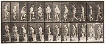 Tavle 98. Dreje- og opgangstrapper, 1872-1885 af Eadweard Muybridge