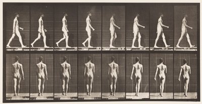 Tavle 9. Vandrende, 1872-1885 af Eadweard Muybridge