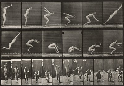 Tavle nummer 163. Spring, stående længdespring af Eadweard Muybridge