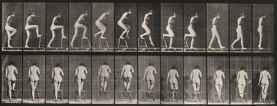 Tallerken nummer 180. At træde på og over en stol af Eadweard Muybridge