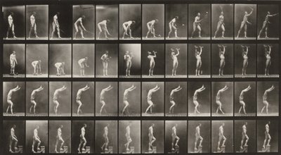 Tavle nummer 488. A: Græstennis. B: Håndvægte. C: Gang på hænderne. D: Gang op ad trapper af Eadweard Muybridge