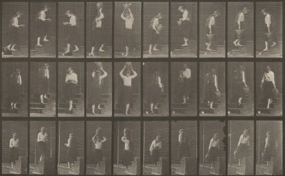 Tavle nummer 504. Op- og nedadgående trapper af Eadweard Muybridge