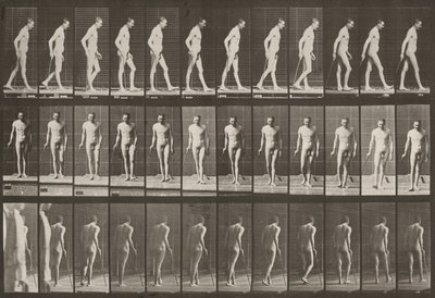 Tavle nummer 559. Delvis paraplegi, gang med stok af Eadweard Muybridge