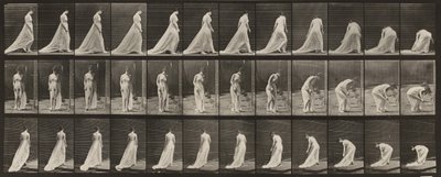 Tavle nummer 56. Gå, vende sig og bøje sig for at løfte slæbet af Eadweard Muybridge