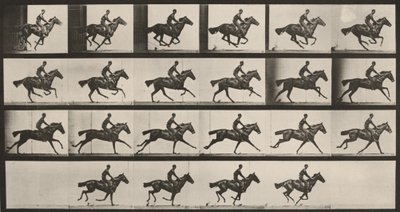 Tavle nummer 625. »Bouquet« i galop af Eadweard Muybridge