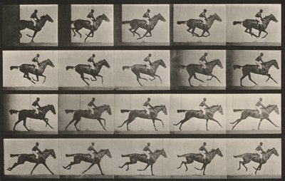 Tavle nummer 627. «Annie G.» i galop af Eadweard Muybridge