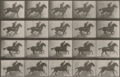 Tavle nummer 628. «Daisy» i galop af Eadweard Muybridge
