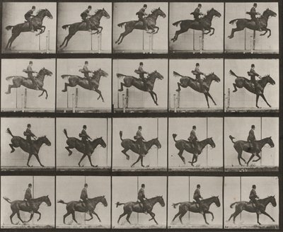 Tavle nummer 637. «Daisy» springer over en forhindring, sadlet, under springet, landingen og genopretningen af Eadweard Muybridge