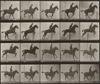 Tavle nummer 639. «Daisy» springer over en forhindring, sadlet af Eadweard Muybridge