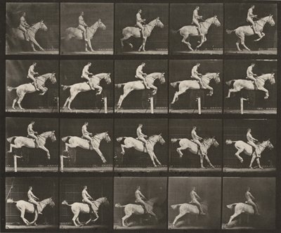 Tavle nummer 642. "Pandora" springer over en forhindring, sadlet; rytter nøgen af Eadweard Muybridge