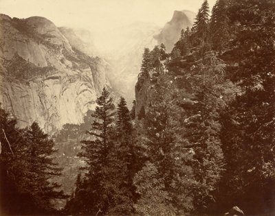Tenaya Canyon fra Union Point, Valley of the Yosemite af Eadweard Muybridge