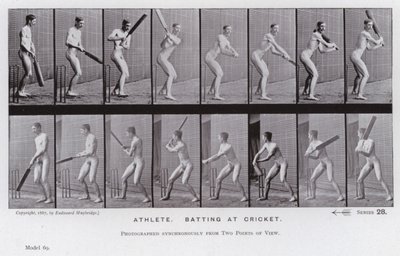 The Human Figure in Motion: Atlet, der slår i cricket (s/h-billede) af Eadweard Muybridge