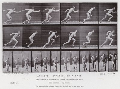 Den menneskelige figur i bevægelse: Atlet, der starter på et løb (s/h-billede) af Eadweard Muybridge