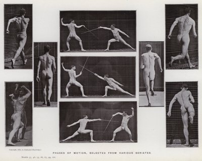 Den menneskelige figur i bevægelse: Bevægelsesfaser, udvalgt fra forskellige serier (s/h foto) af Eadweard Muybridge