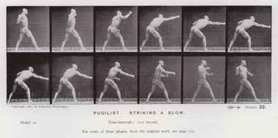 Den menneskelige figur i bevægelse: pugilist, der slår et slag (b/w foto) af Eadweard Muybridge