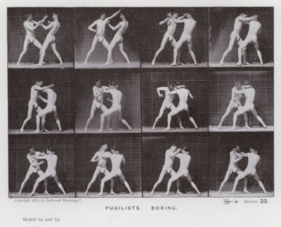 The Human Figure in Motion: Pugilists, Boxing (s/h-billede) af Eadweard Muybridge