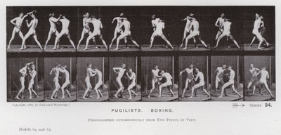 The Human Figure in Motion: Pugilists, Boxing (s/h-billede) af Eadweard Muybridge