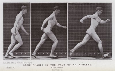 Den menneskelige figur i bevægelse: Nogle faser i en atlets gang (s/h foto) af Eadweard Muybridge