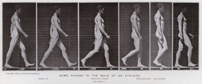 Den menneskelige figur i bevægelse: Nogle faser i en atlets gang (s/h foto) af Eadweard Muybridge