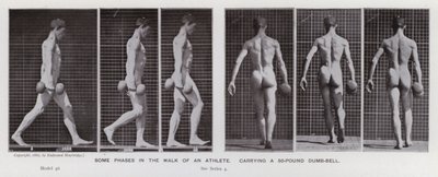 Den menneskelige figur i bevægelse: Nogle faser i en atlets gang, der bærer en 50-punds håndvægt (s/h-billede) af Eadweard Muybridge