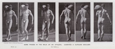 Den menneskelige figur i bevægelse: Nogle faser i en atlets gang, der bærer en 75-punds kampesten (s/h-foto) af Eadweard Muybridge