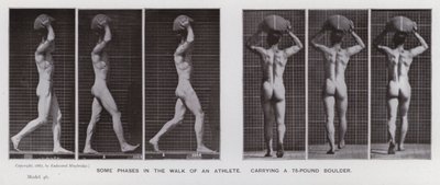 Den menneskelige figur i bevægelse: Nogle faser i en atlets gang, der bærer en 75-punds kampesten (s/h-foto) af Eadweard Muybridge
