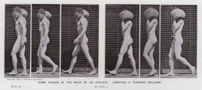 Den menneskelige figur i bevægelse: Nogle faser i en atlets gang, der bærer en 75-punds kampesten (s/h-foto) af Eadweard Muybridge
