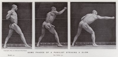 Den menneskelige figur i bevægelse: Nogle faser af en pugilist, der slår et slag (B/W -foto) af Eadweard Muybridge