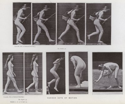 Den menneskelige figur i bevægelse: Forskellige bevægelseshandlinger (s/h-billede) af Eadweard Muybridge
