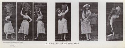 Den menneskelige figur i bevægelse: Forskellige faser af bevægelse (s/h foto) af Eadweard Muybridge